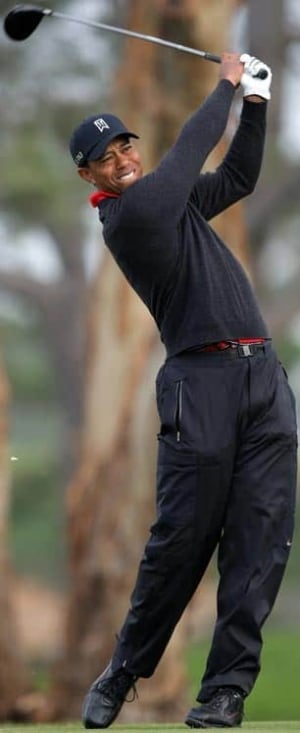 woods-tiger-110130