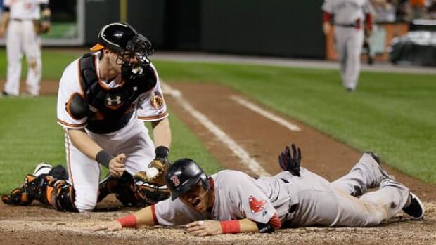 584-scutaro