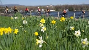 si-ottawa-bikedays-300-cp-00630064