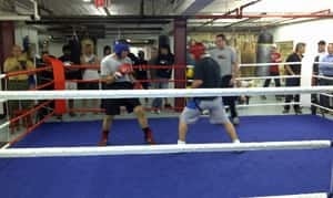 ii-ott-beaver-boxing-300