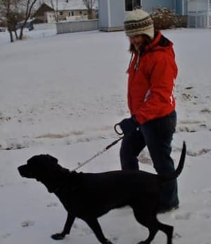 in-dog-walk