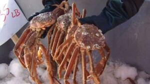 nl-620-crab-ice-20100426