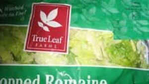si-cgy-lettuce-recall