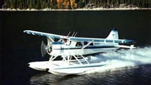 bc-091130-seair-beaver