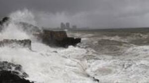 in-220-storm-cp-010747051