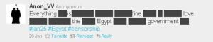 tweet-egypt-fine