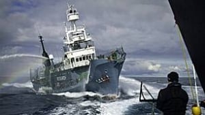 tp-japan-whaling-00171943