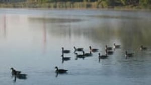 si-grenadier-pond-220-