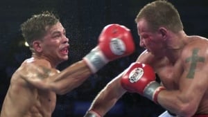 584-gatti-ward