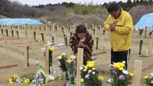 japan-300-cp00493577