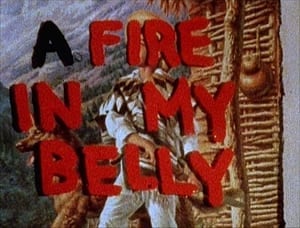 wojnarowicz-fire-belly-moma