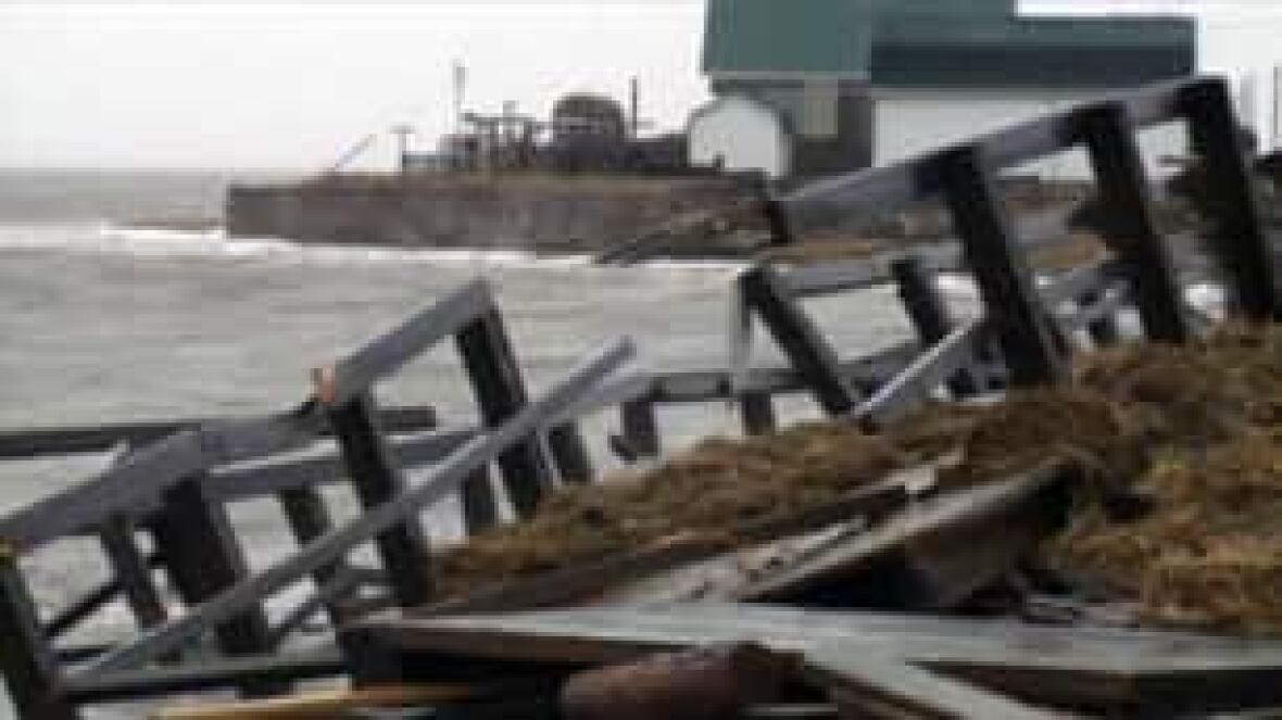Bouctouche dunes suffer drop in tourists CBC News Bouctouche dunes suffer drop in tourists CBC News