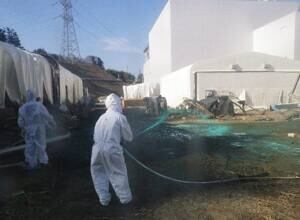 mi-japan-spray-resin-300-00