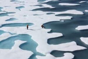 sm-250-sea-ice-surface-melt