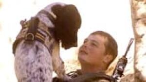 si-soldier-dog-220-ap00305788
