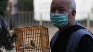 in-220-bird-flu-cp-9773818