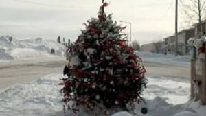 nl-hitandrun-tree-306-201011