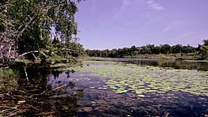 mi-pinery-park-300-ho