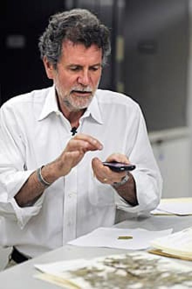 Tree identification a snap with mobile app CBC News