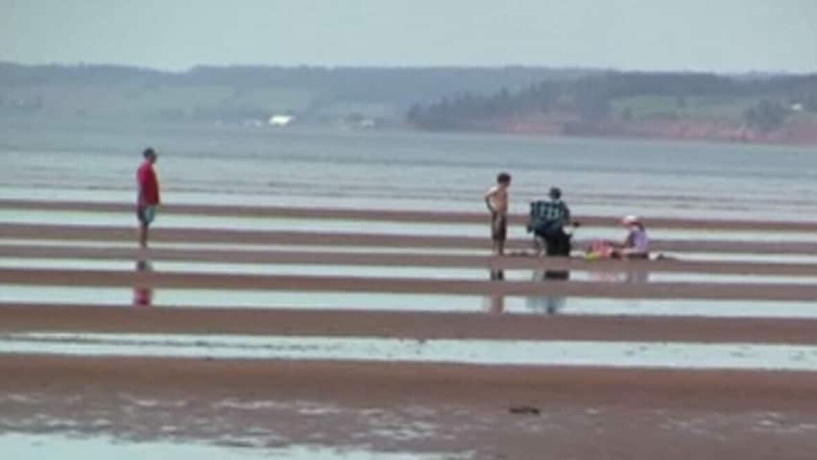 Stratford swimmers worry about dirty water Prince Edward Island CBC