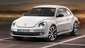 ins-beetle00527630