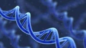 hi-dna-852-istock-rh-3col