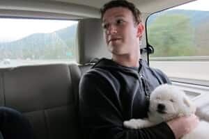 sm-300-mark-zuckerberg-photo-imgur