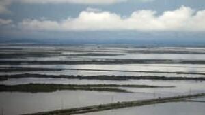 tp-flood-farm-cp-9968396