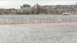 ns-siharbour_220