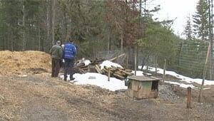 si-110501-whistler-sled-dog-exhumation-300