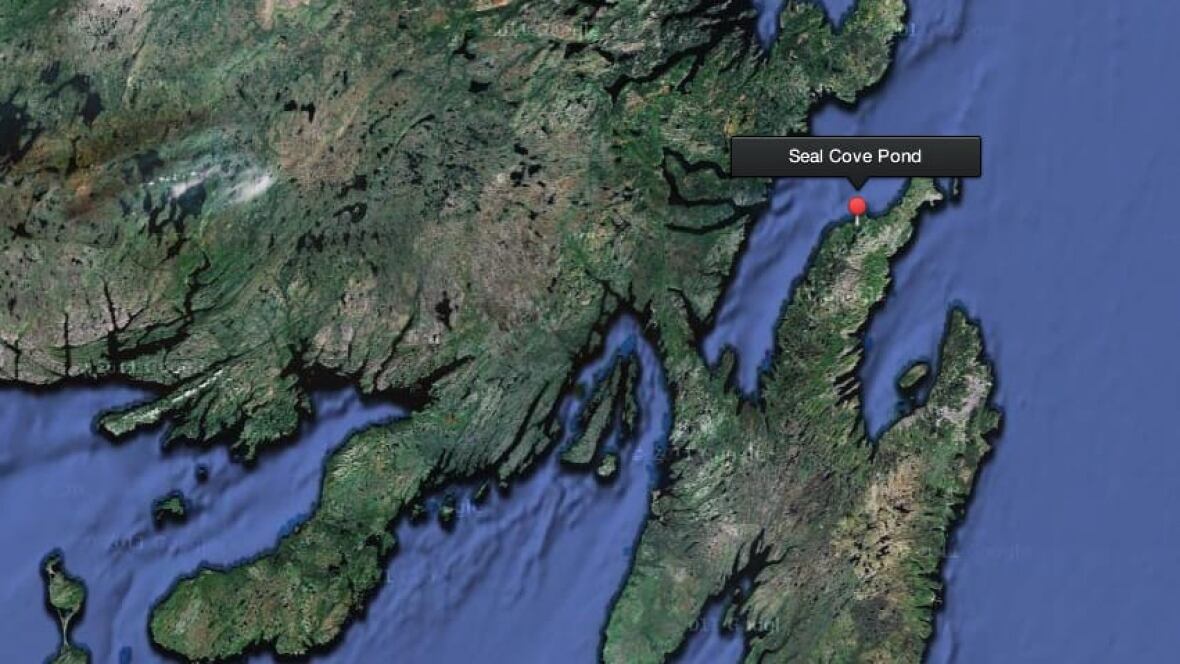 Body of missing Trinity Bay boater found Newfoundland & Labrador