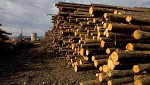 mi-bc-110810-lumber-cp-3885299