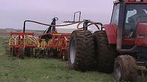 mi-seeding