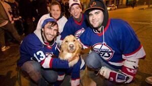 mi-jets-fans-dog