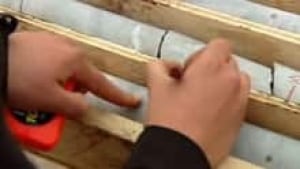 si-whitegold-cores-220-file
