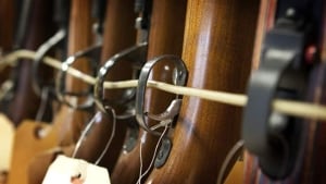 hi-long-gun-registry-620