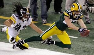 584-polamalu-troy