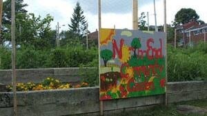ns-community-si