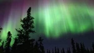 tp-aurora-borealis-pugsley