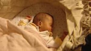 mi-twins-220-cbc