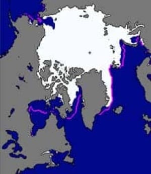 north-nsidc-ice-nov10
