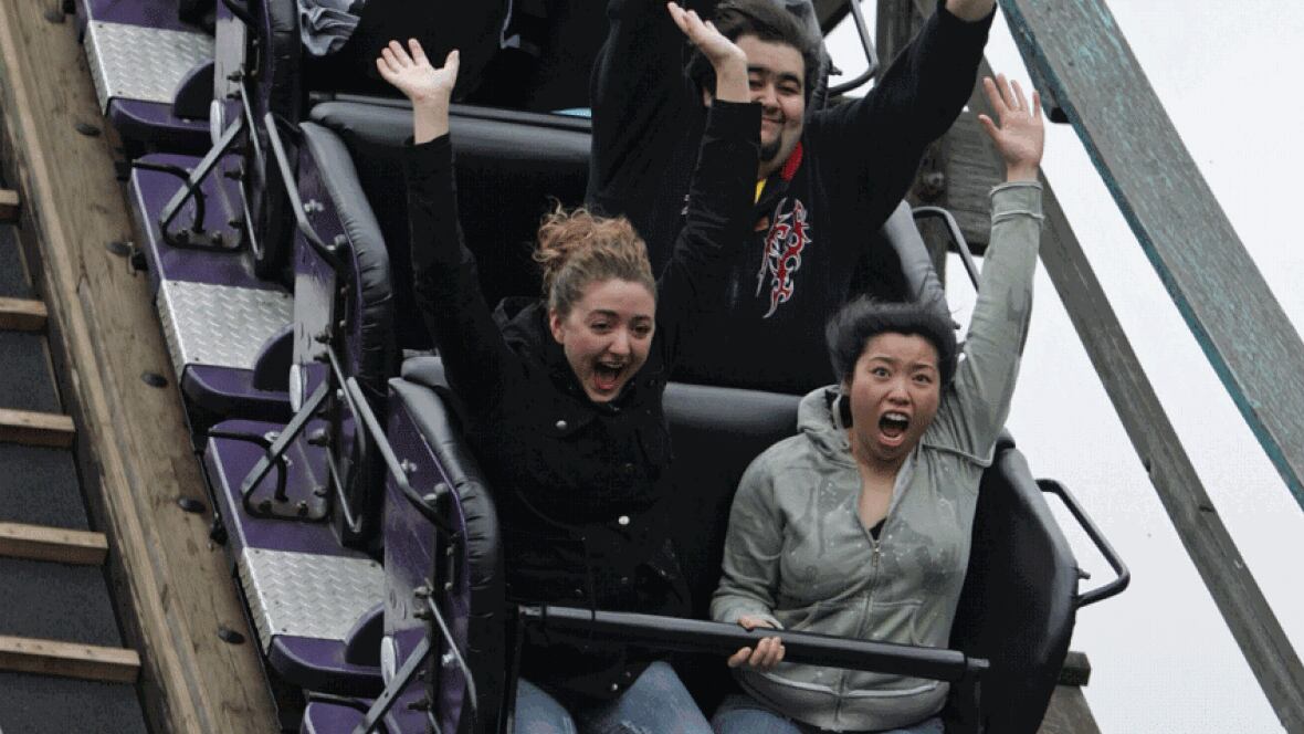 Roller coasters the drive to scream Canada CBC News