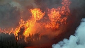220-ont-fires-00993379