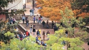 mi-guelph-librarysteps-300
