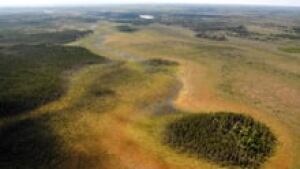 chignecto-isthmus-220