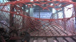 ns-si-lobster-cam-300