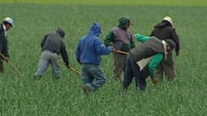 mb-mexworkers