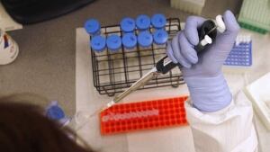 hi-lab-test-852-9818962