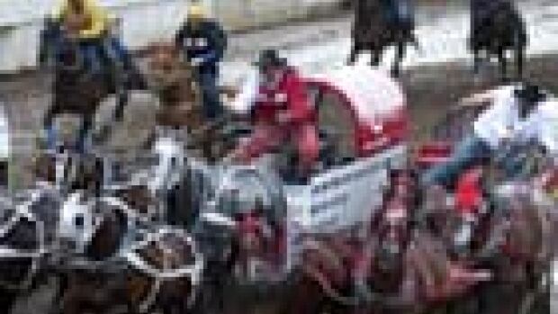 Shaw Gmc Calgary >> Stampede chuckwagon tarp auction pulls in $3.5M | CBC News Shaw Gmc Calgary >> Stampede chuckwagon tarp auction pulls in $3.5M | CBC News