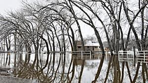 300-flood-lumsden